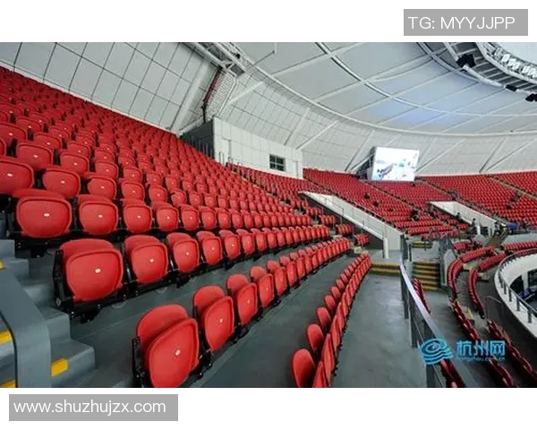 杭州羽毛球队在精英赛中的表现分析与状态评估